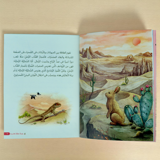 رواية ألعوبة الرياح