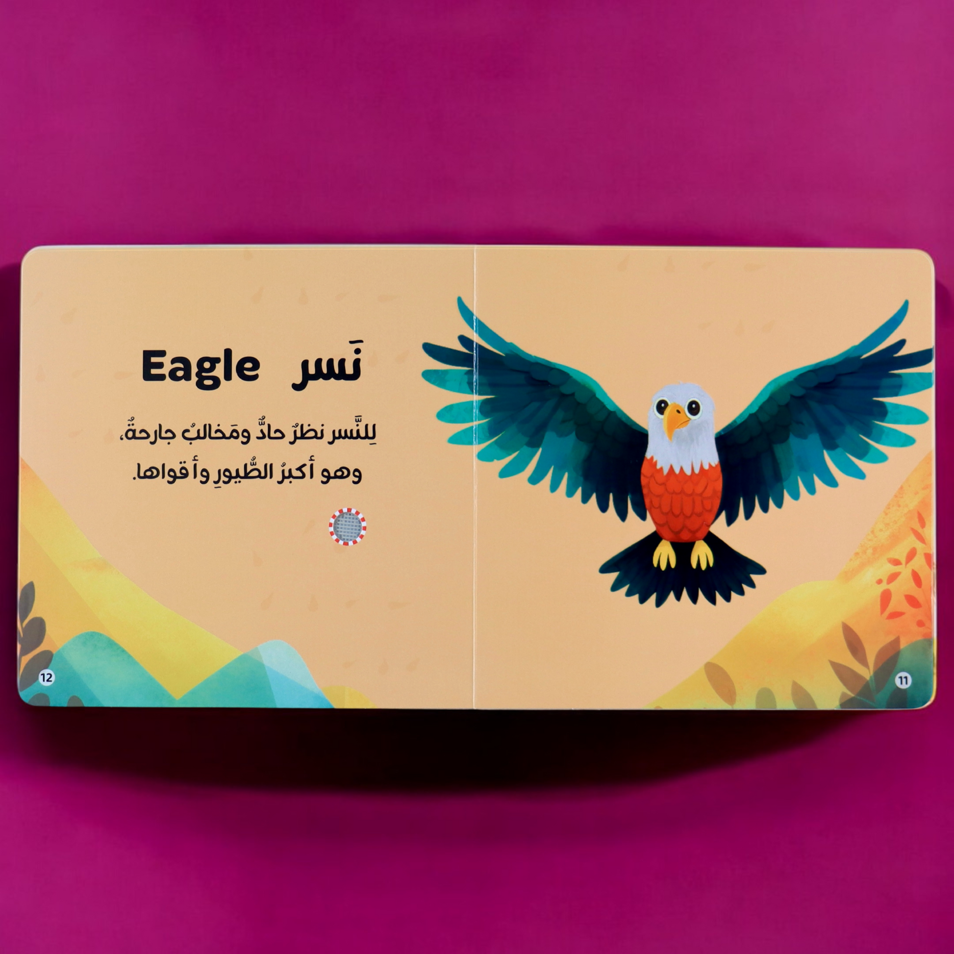 صورة من داخل صفحات مجموعة كتابي المسموع 4 كتب مع صورة النسر