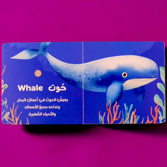 صورة من داخل صفحات مجموعة أصوات الحيوانات 4 كتب مع صورة الحوت