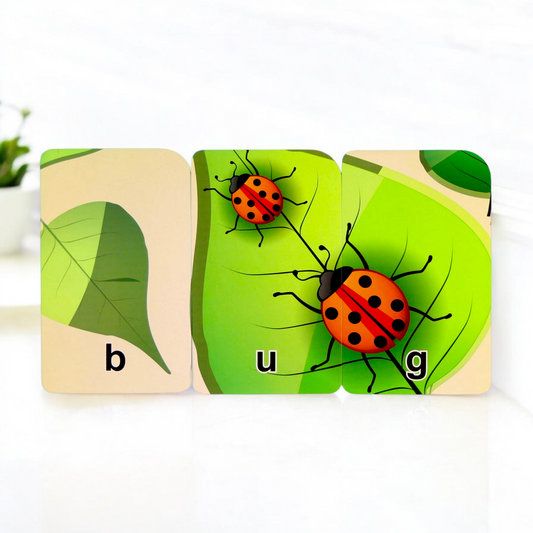 Learning express Kids Cards ( Three - Letter Words )