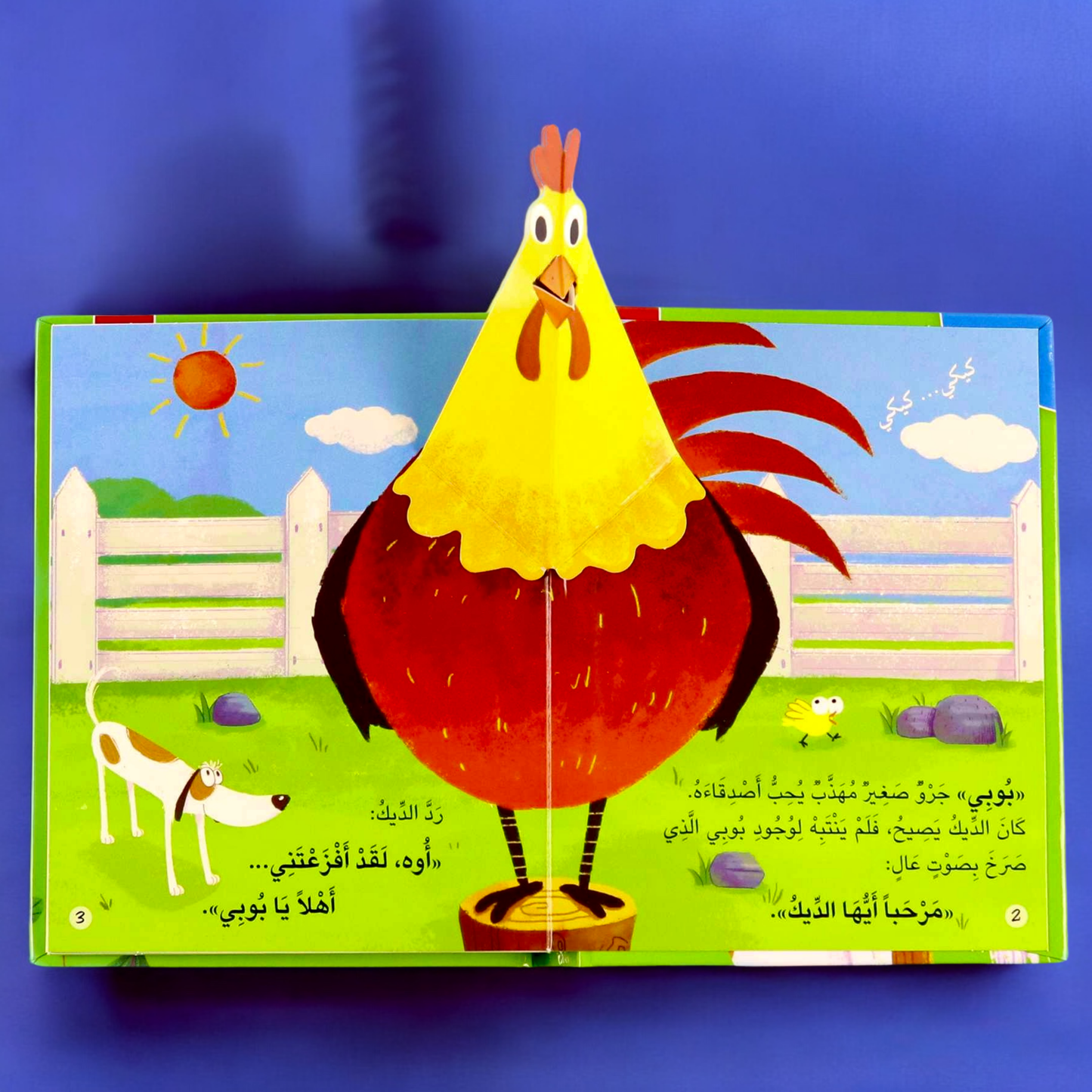 عرض ال 13 قصة ثلاثية الأبعاد والتفاعلية