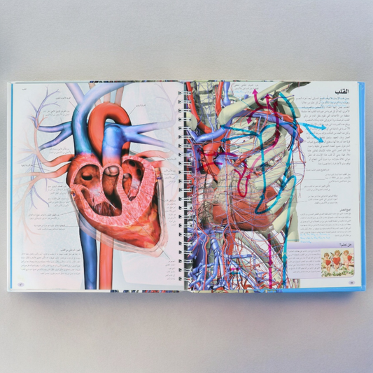 موسوعة جسم الإنسان من DK