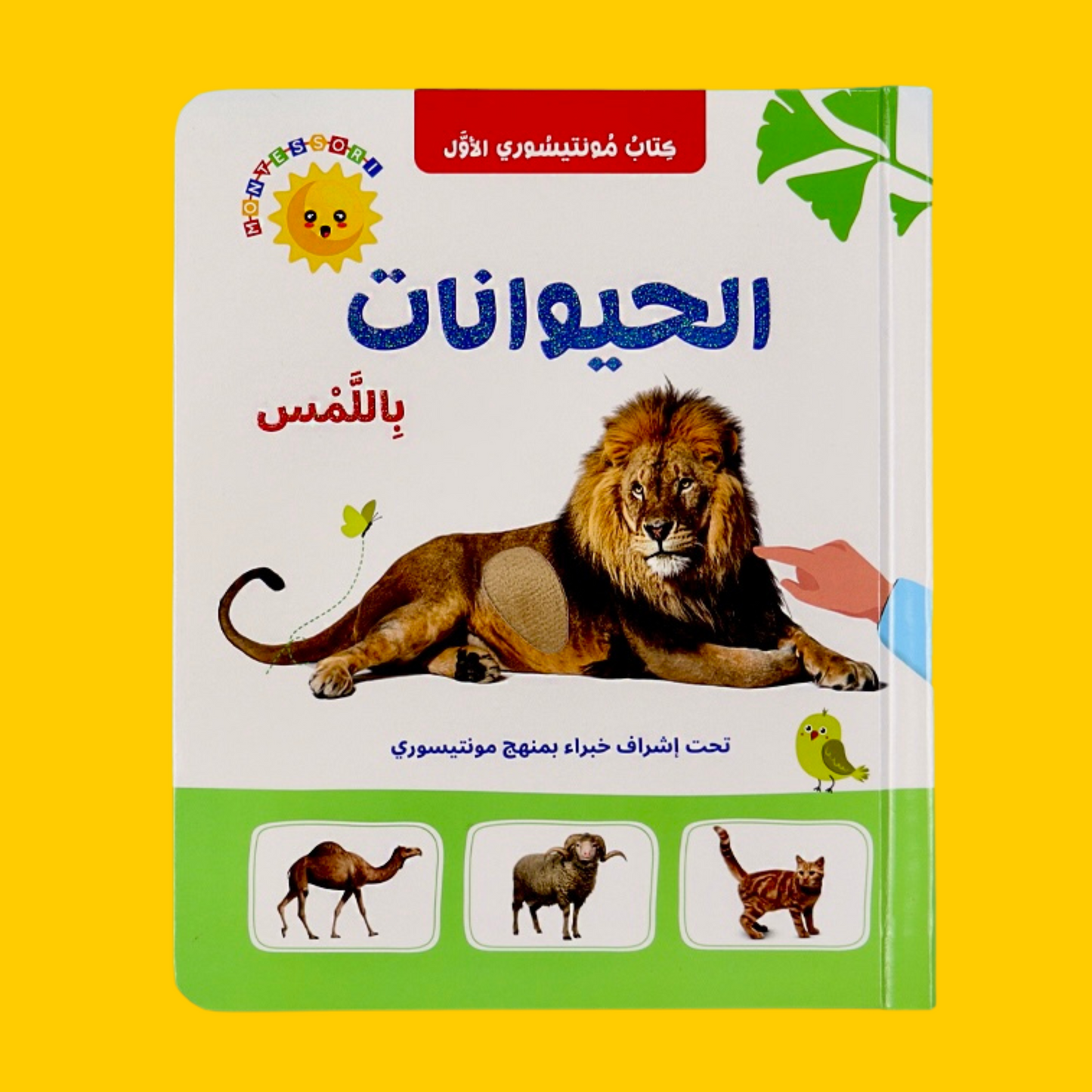 عرض مجموعة القصص ثلاثية الأبعاد 5 قصص
