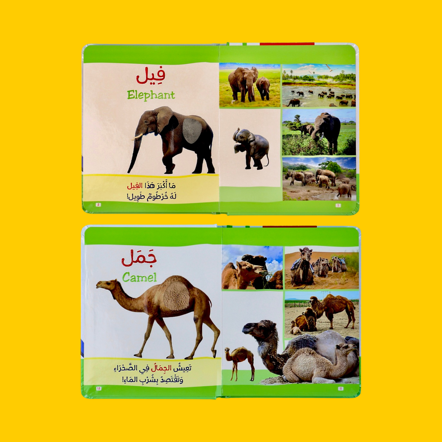 عرض مجموعة القصص ثلاثية الأبعاد 5 قصص