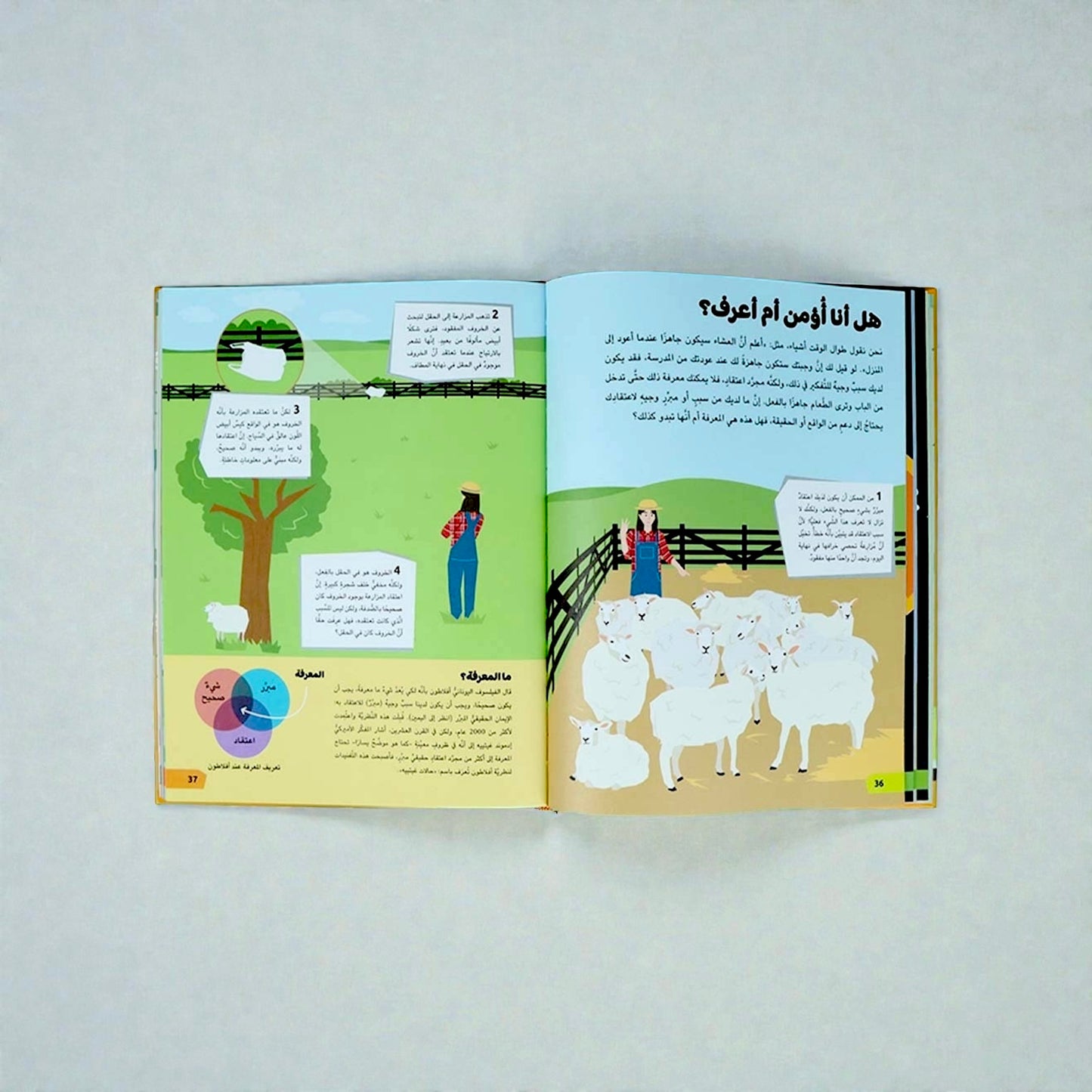 مجموعة مستكشف الكون الصغير 10 كتب
