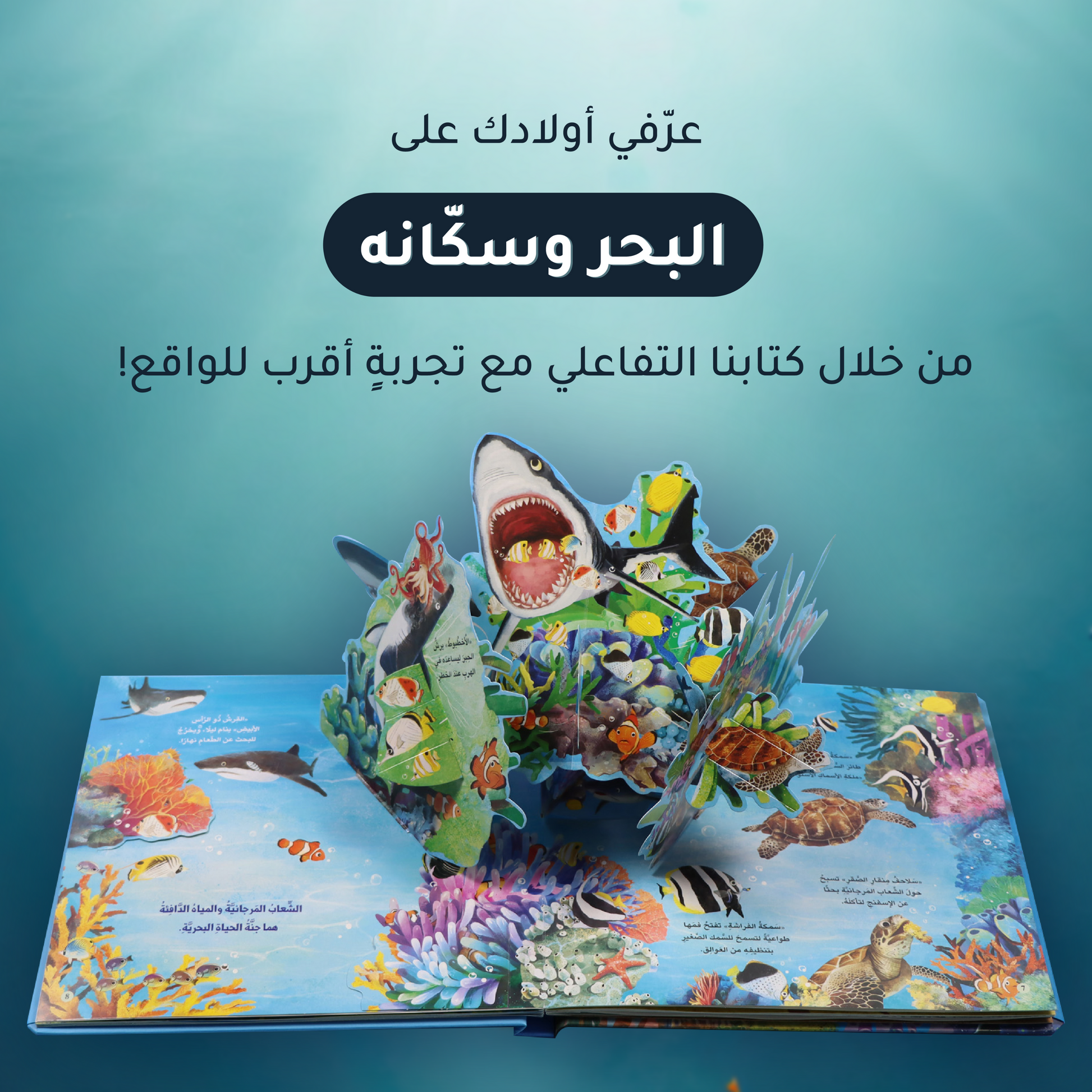 الصور تعرض صور داخلية لصفحات من كتاب المحيط من مجموعة مملكة الحيوان ثلاثية