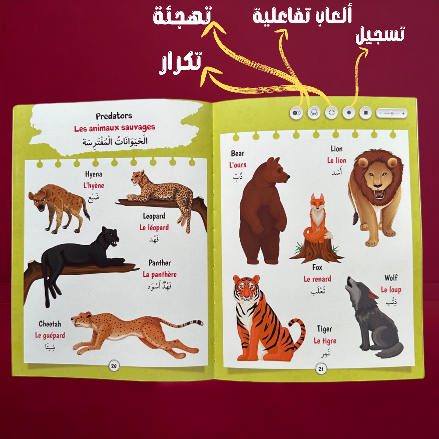 انظر استمع وتعلم 22 كتاب ( عربي - إنجليزي )