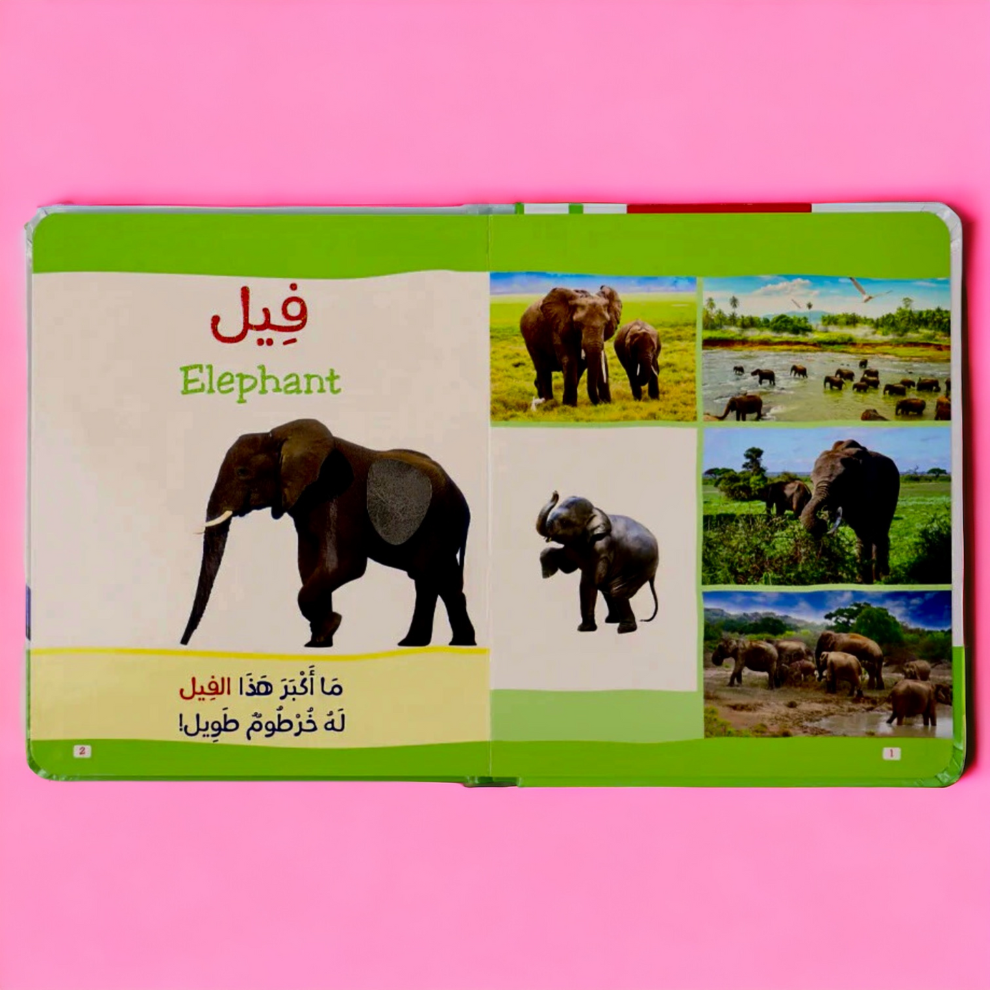 عرض مجموعة مونتيسوري - الثلاث كتب باللمس
