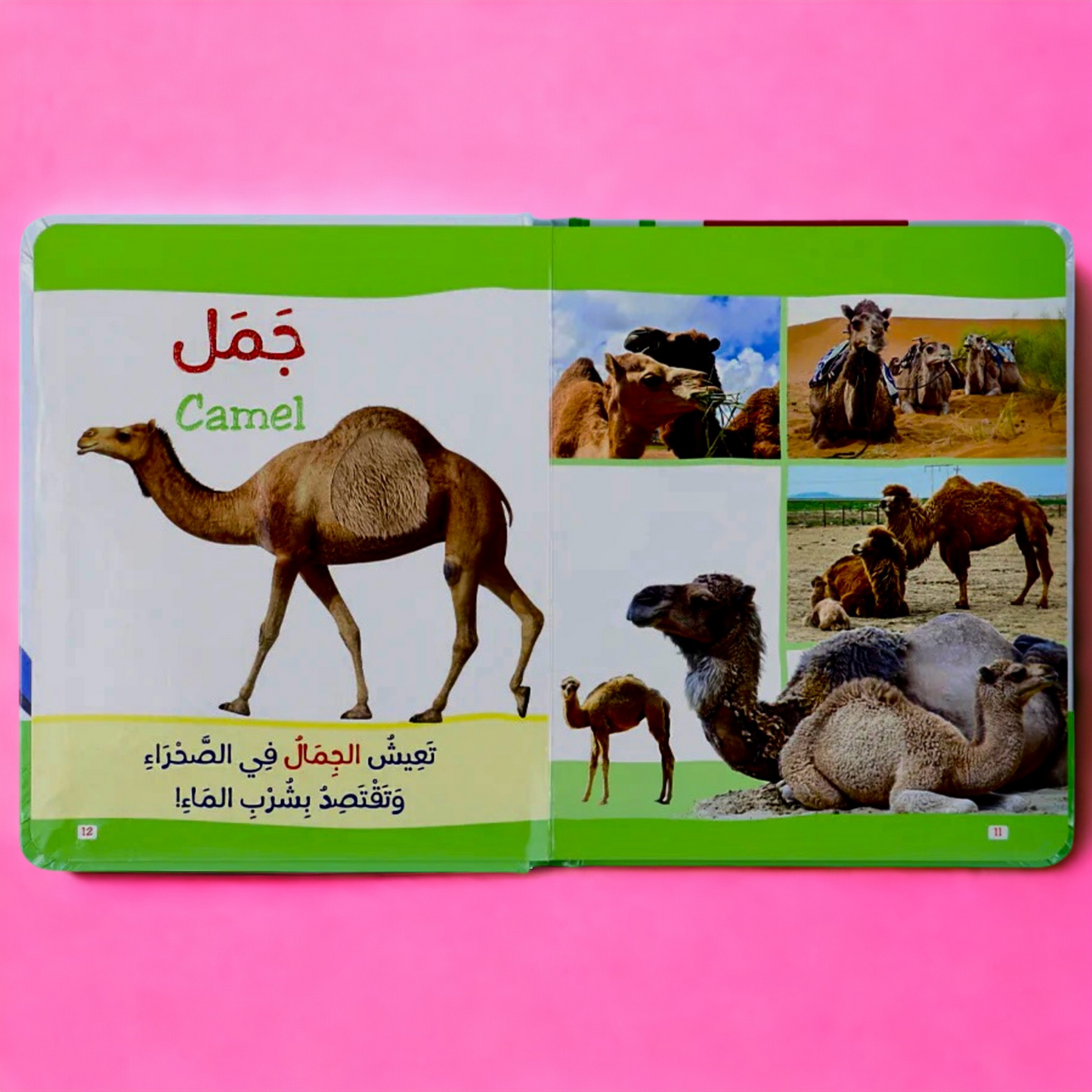 عرض مجموعة مونتيسوري - الثلاث كتب باللمس