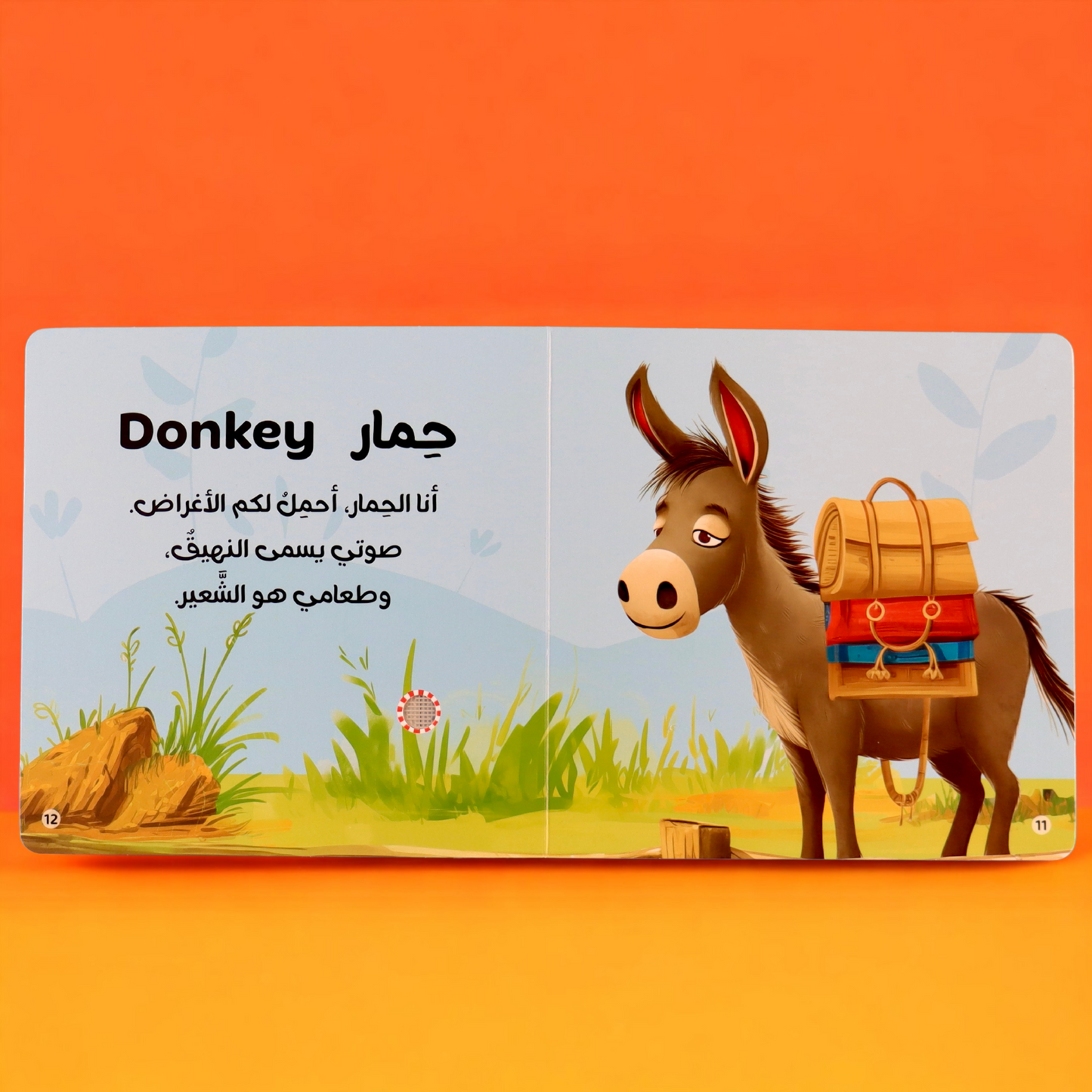 صورة من داخل صفحات مجموعة أصوات الحيوانات صوت الحمار