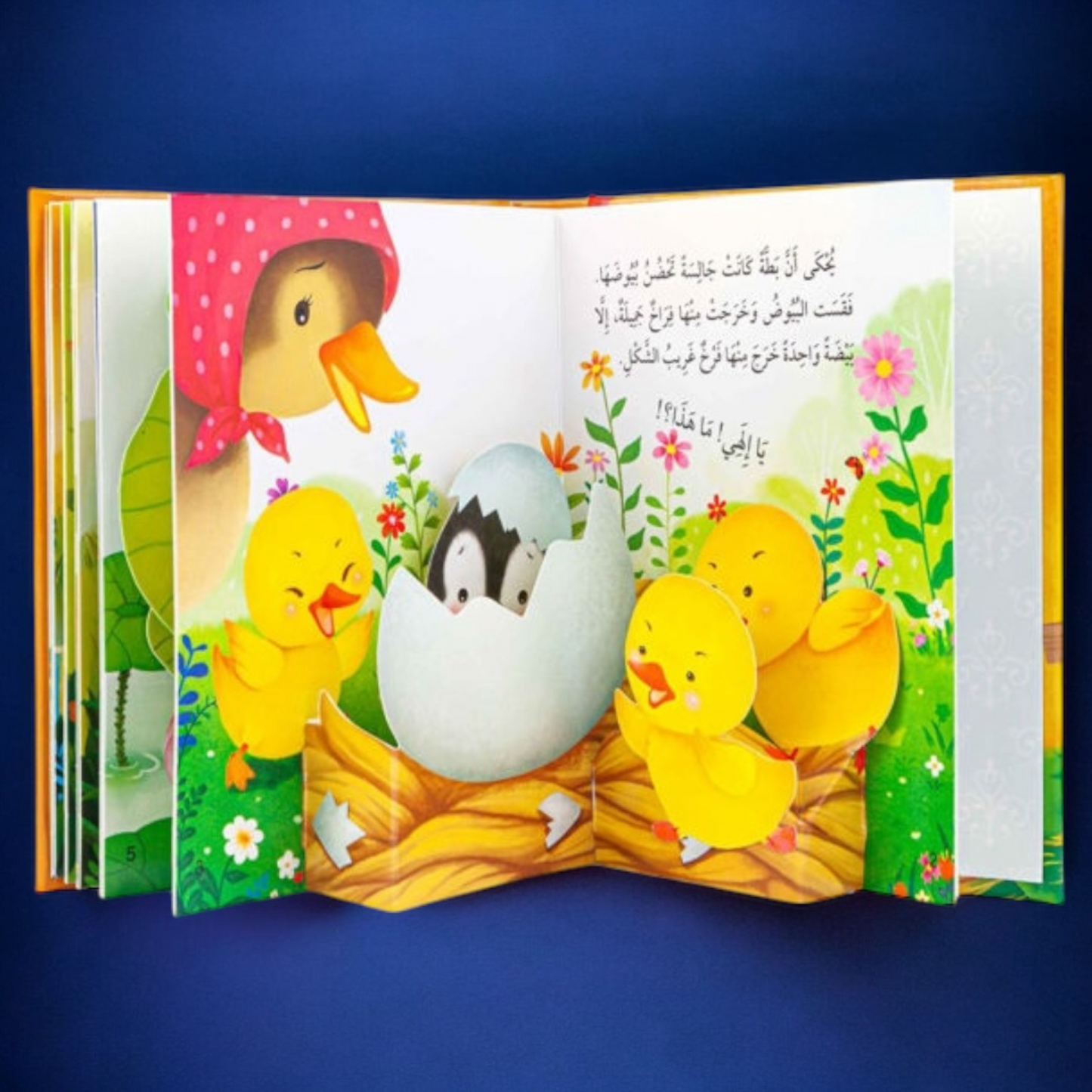المجموعة التفاعلية الحركية و ثلاثية الأبعاد 13 كتاباً