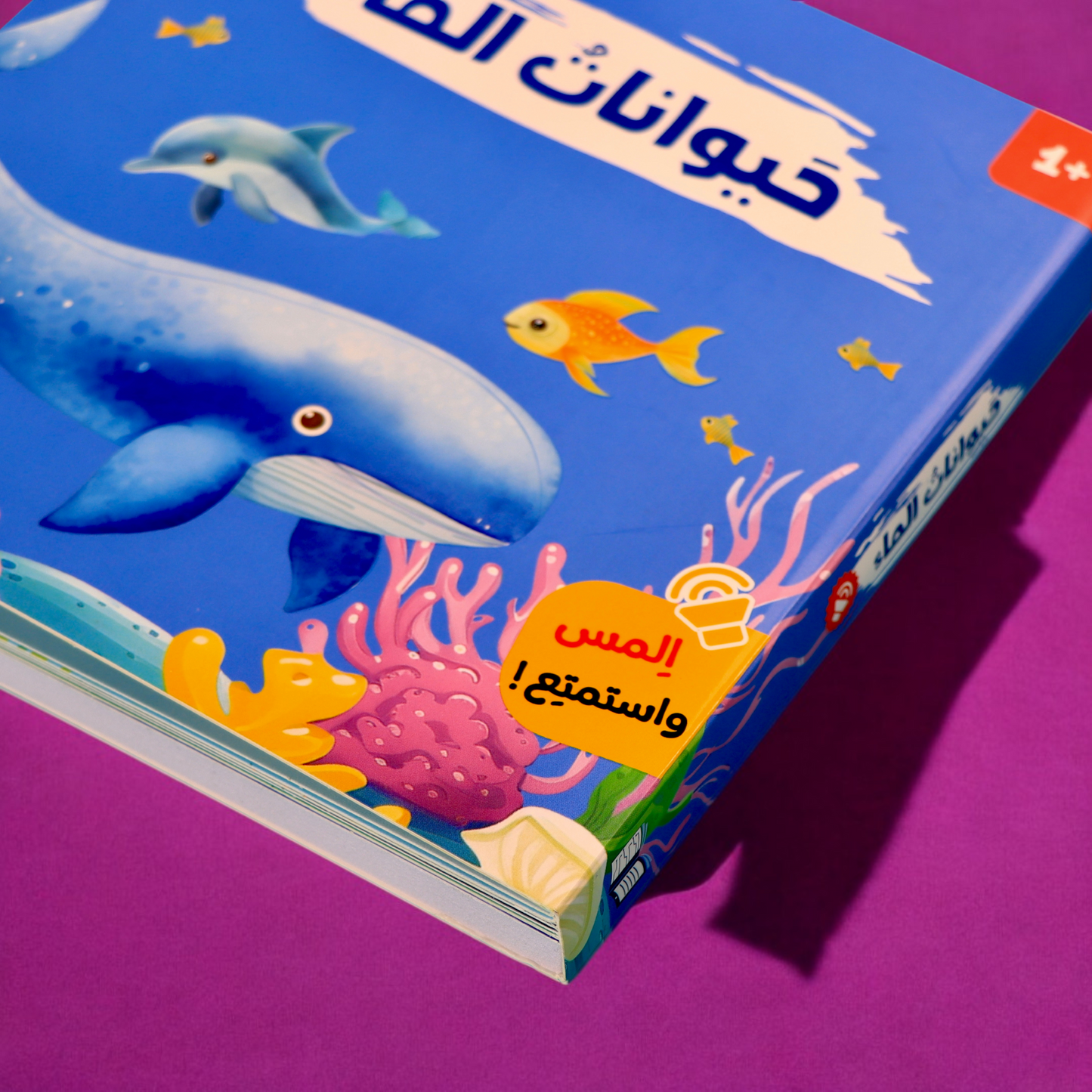 تعرض الصورة الغلاف الخارجي لكتاب حيوانات الماء من سلسلة كتابي المسموع 4 كتب صوتية