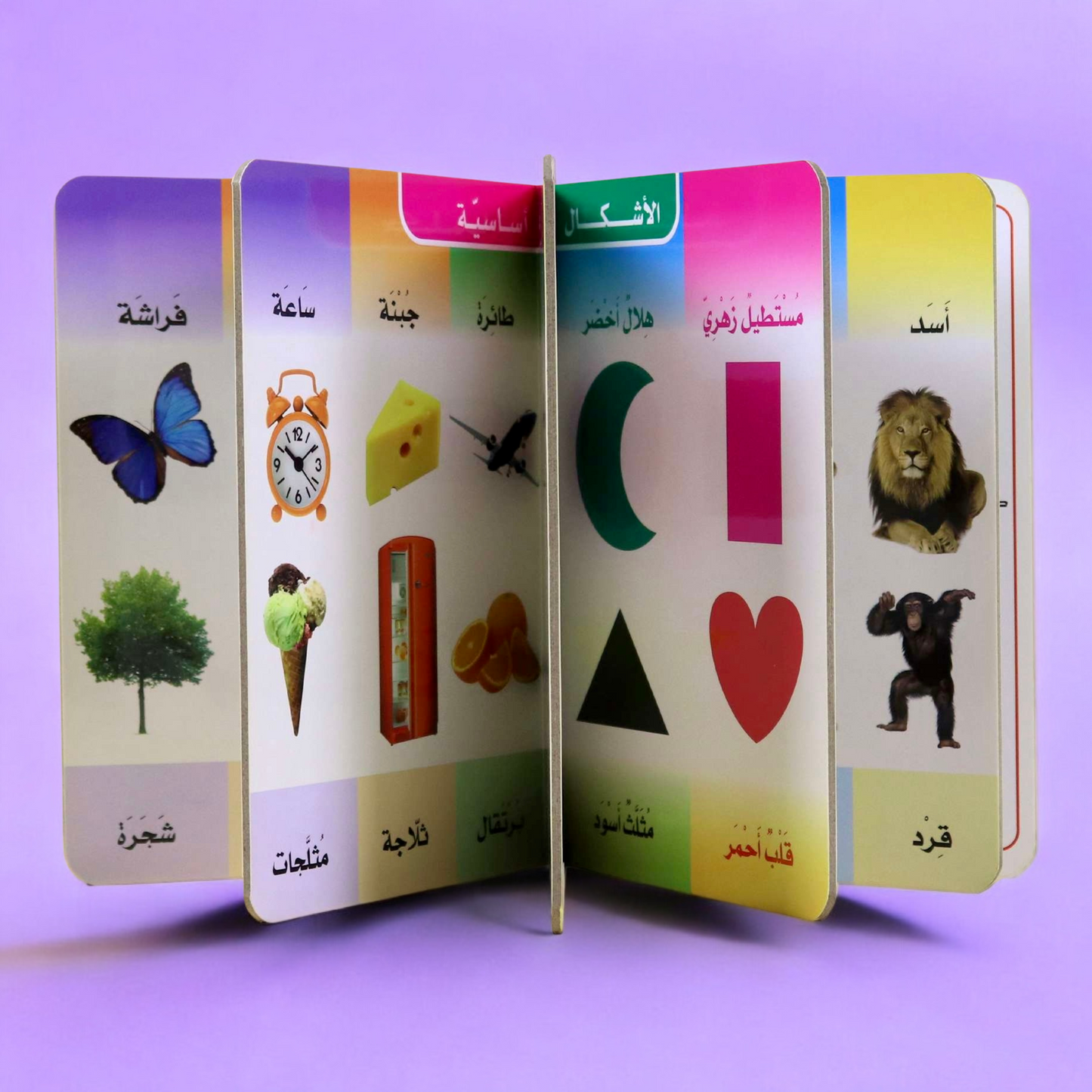 تعلم الكلمات اكتب وامسح