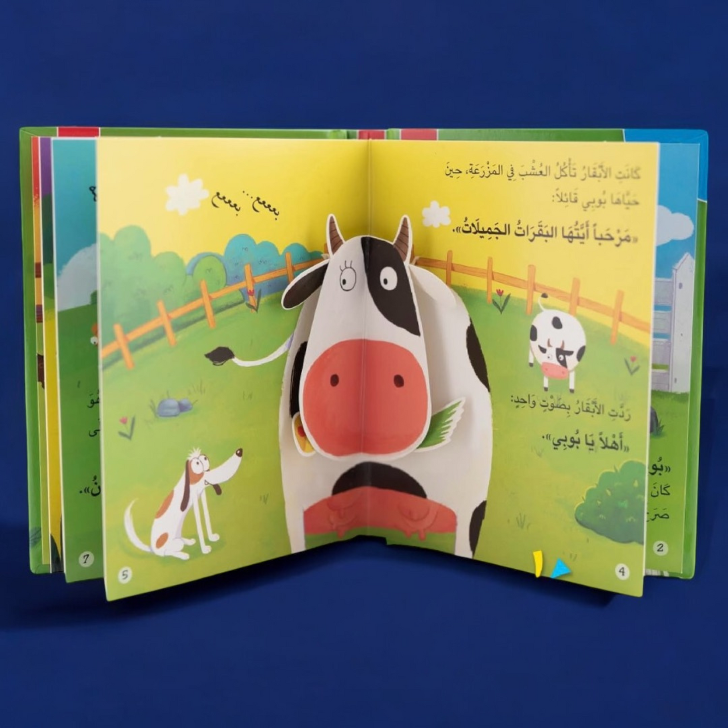 المجموعة التفاعلية الحركية و ثلاثية الأبعاد 13 كتاباً
