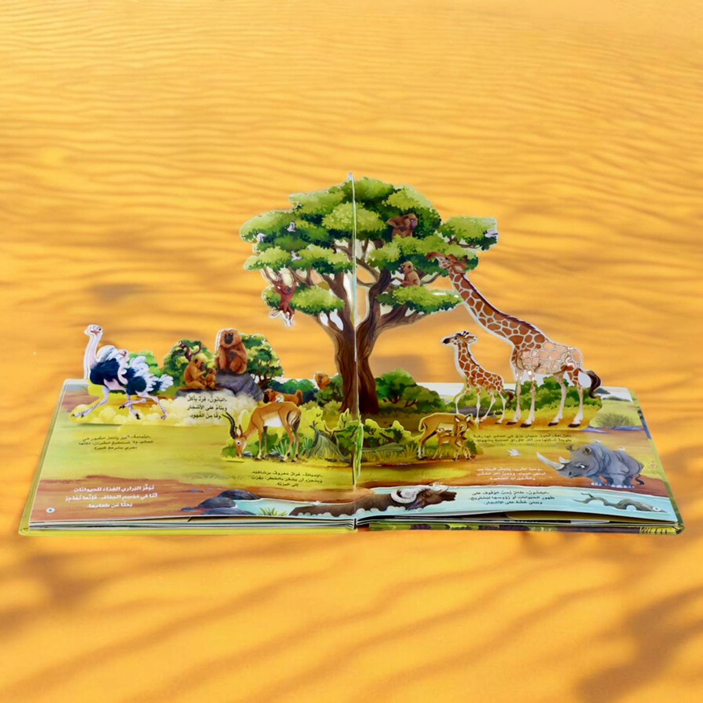 عرض قصصي التفاعلية المتنوعة ☀️