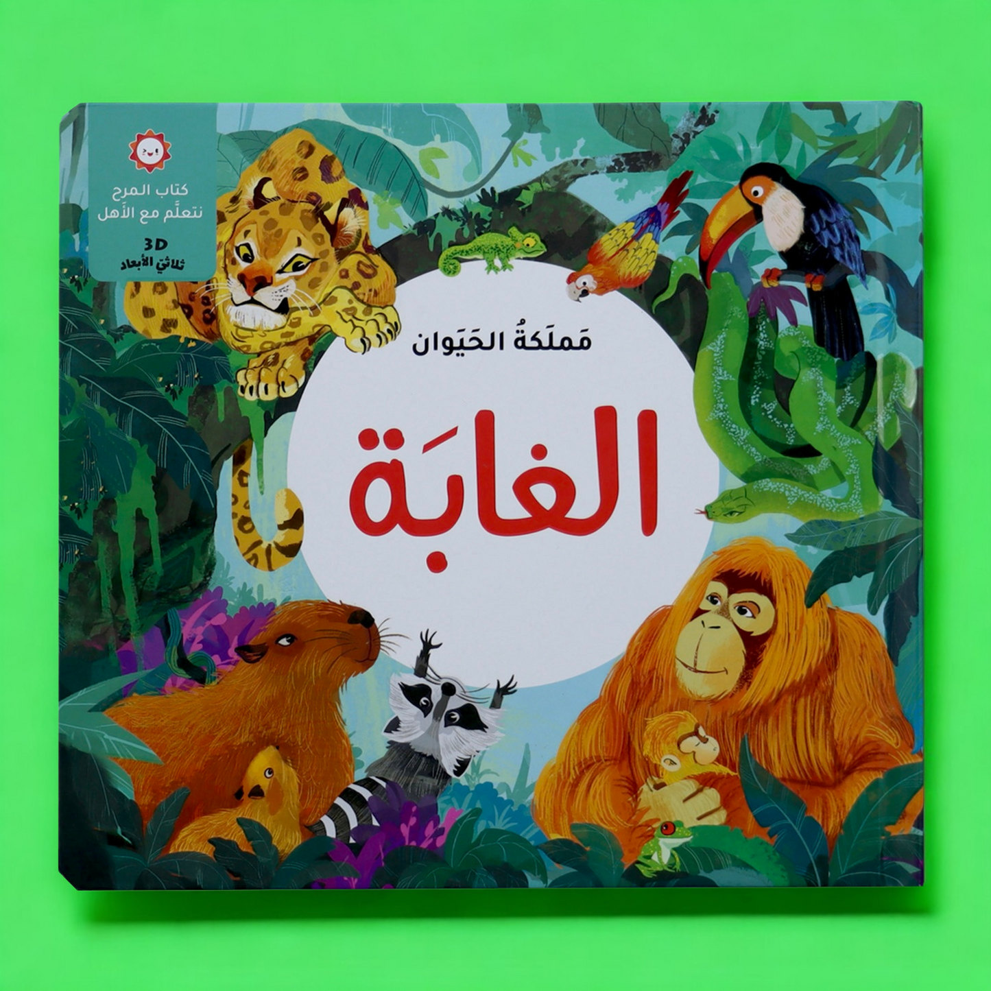 عرض قصصي التفاعلية المتنوعة 🌟