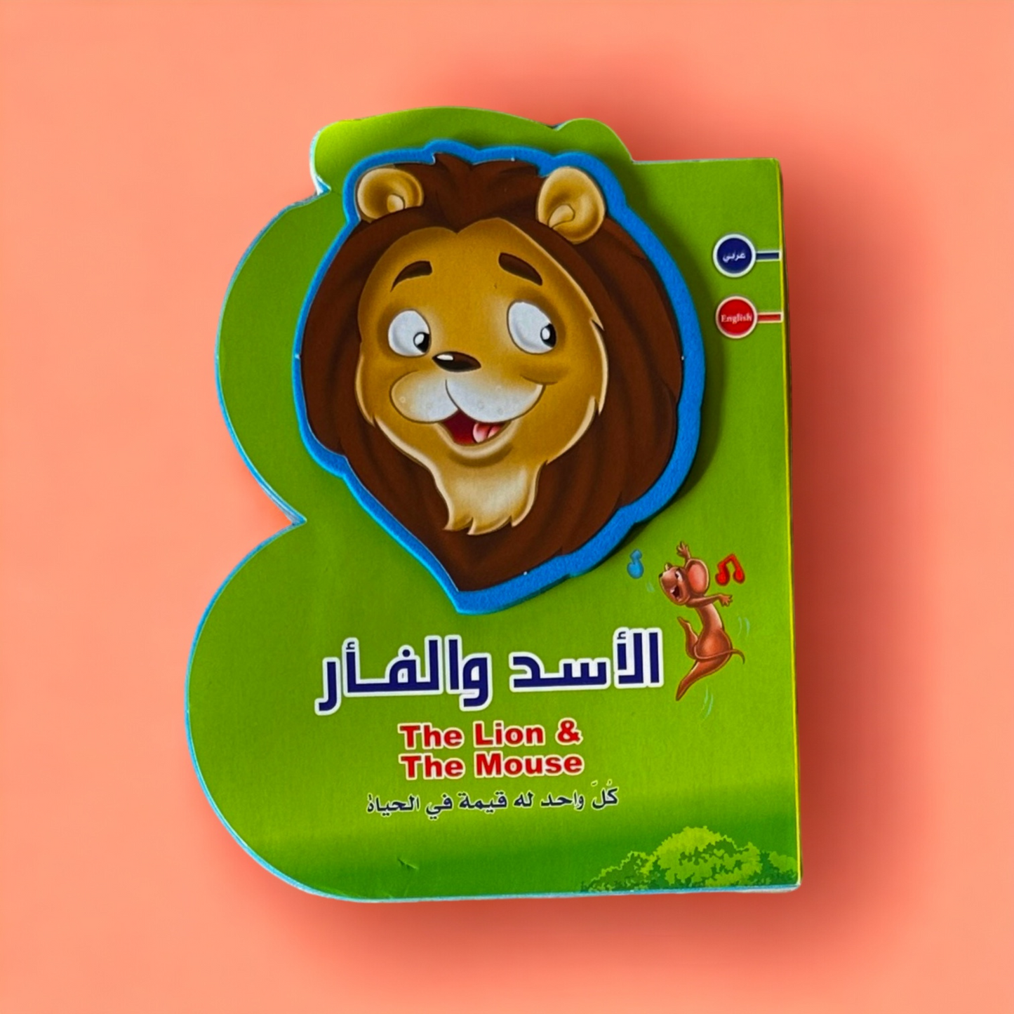 قصة فلين بي كتاب إنجليزي عربي (الأسد والأر)