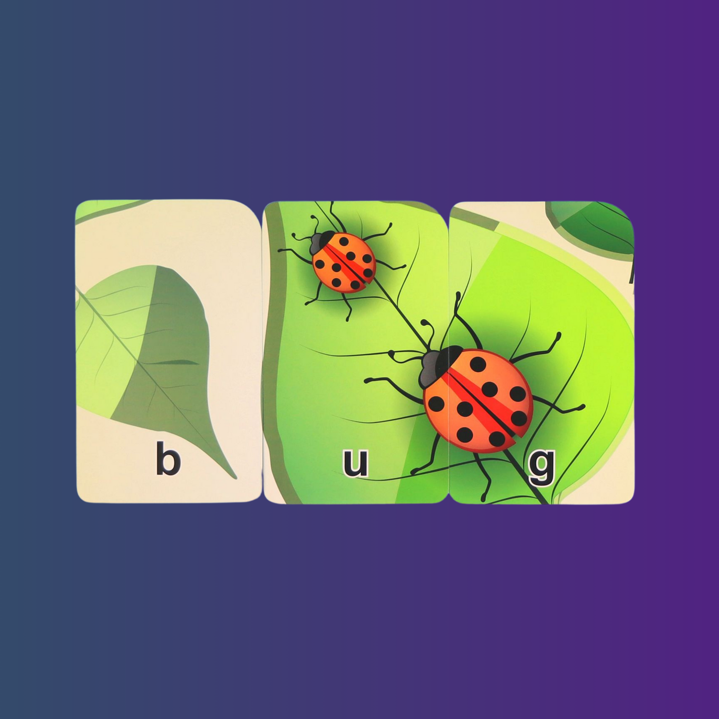 Learning English Flash cards for Kids - 5 Sets