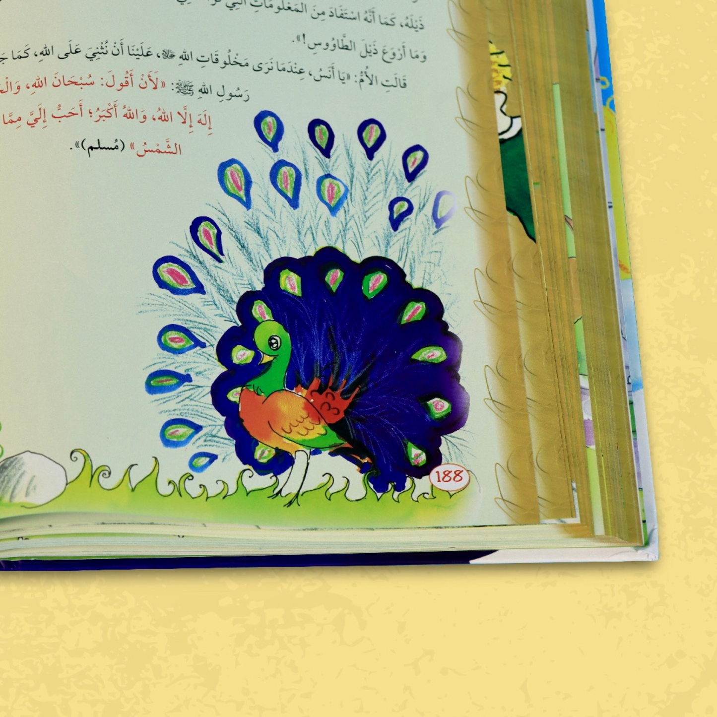 يوميات المسلم الصغير 4 مجلدات