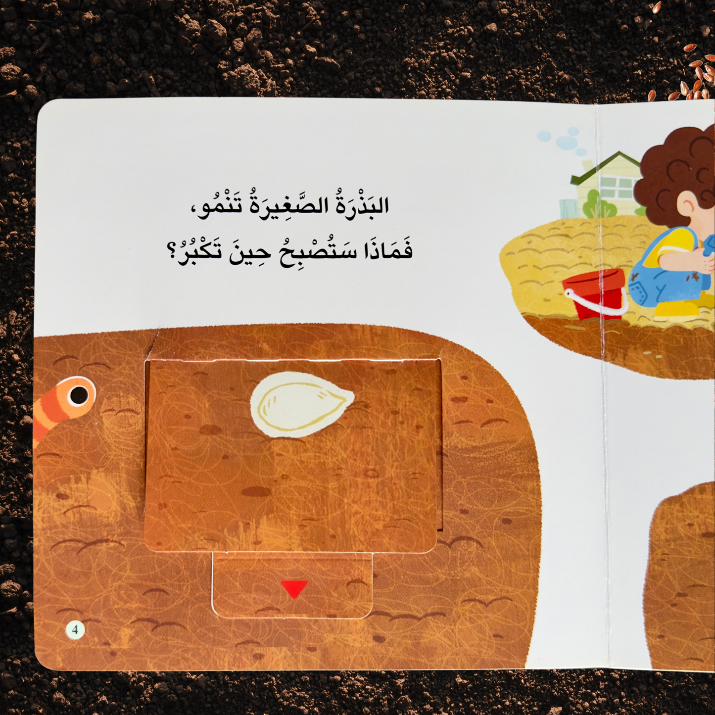 المكتشف الصغير - البذرة الزراعية