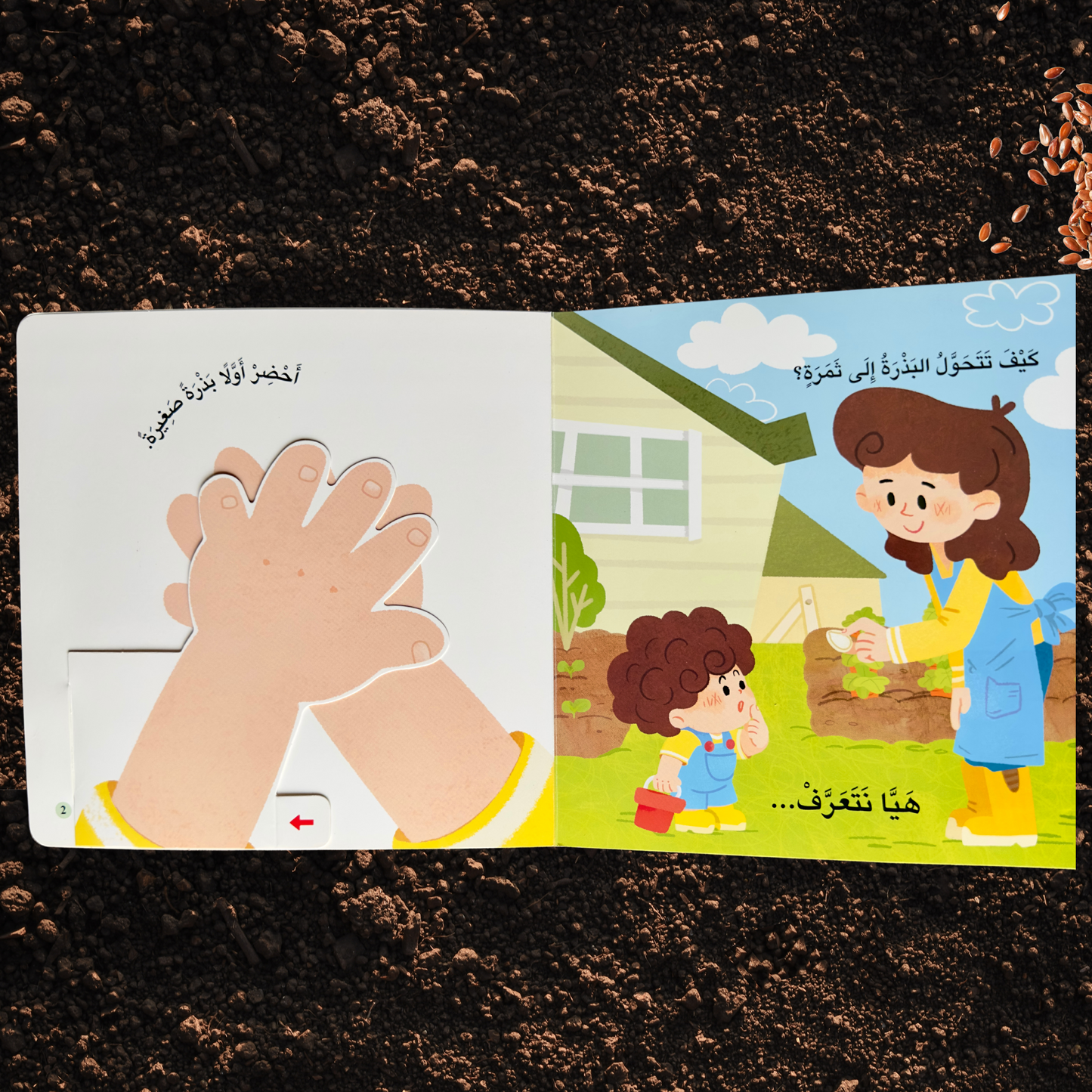 المكتشف الصغير - البذرة الزراعية