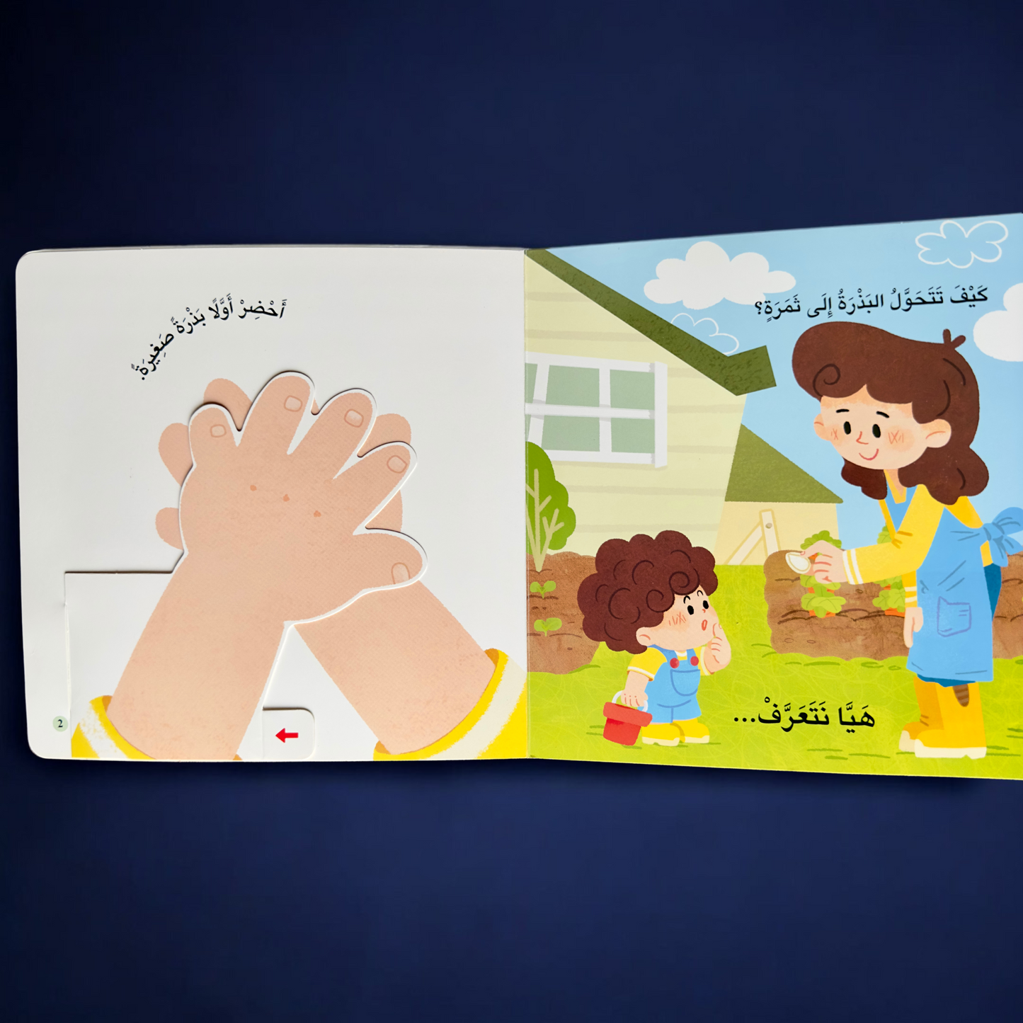 عرض ال 20 قصة تفاعلية متنوعة