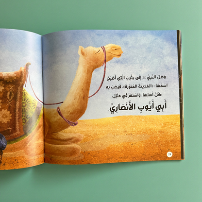 باقة مميزة  تضم مجموعة الله ربي مع قصص الأنبياء 17 كتاباً