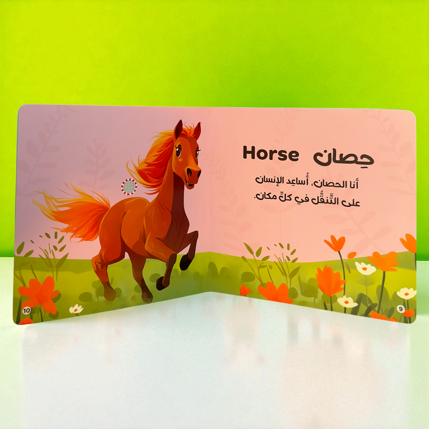 4 كتب لأصوات الحيوانات - Animals Audiobooks