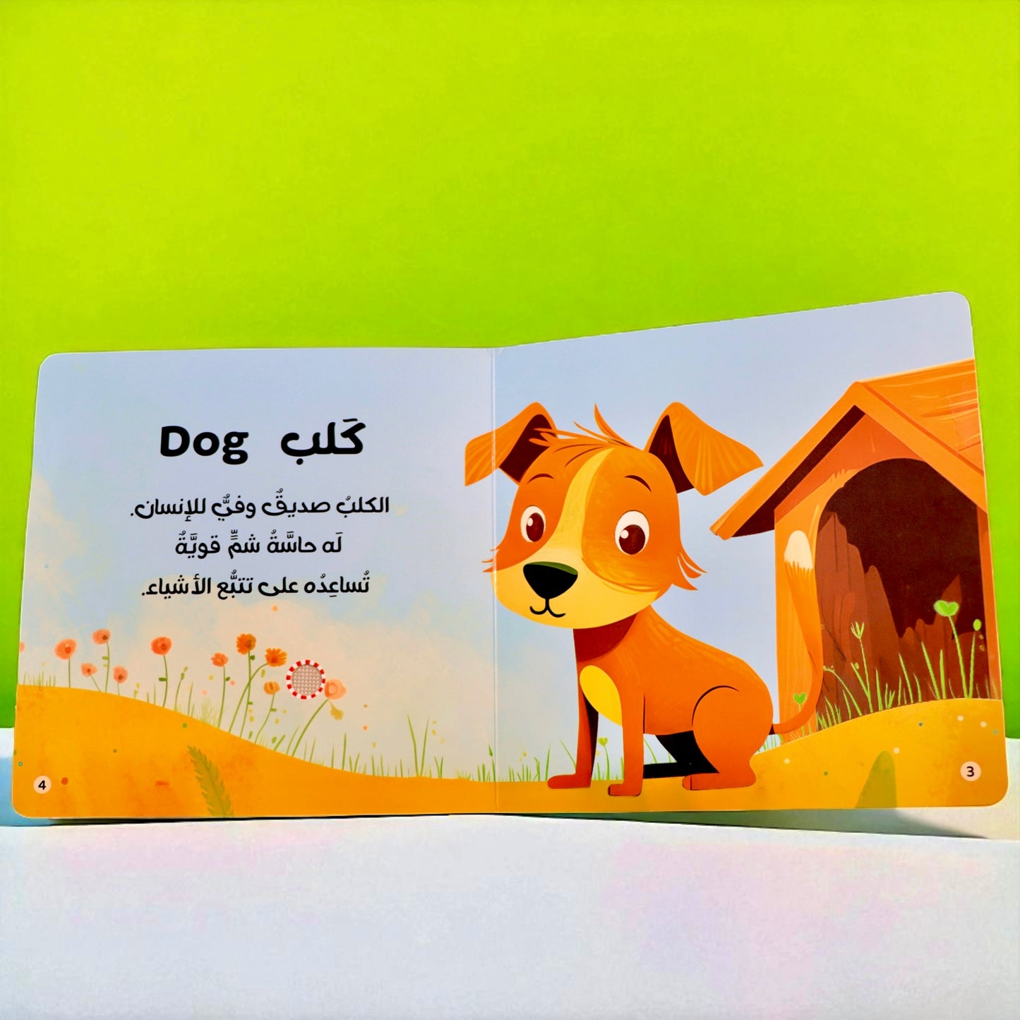 4 كتب لأصوات الحيوانات - Animals Audiobooks