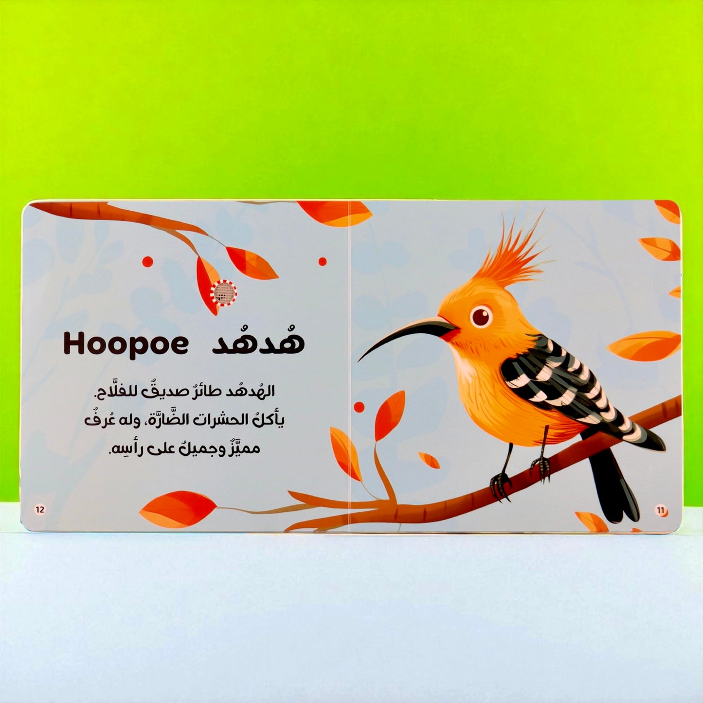 4 كتب لأصوات الحيوانات - Animals Audiobooks