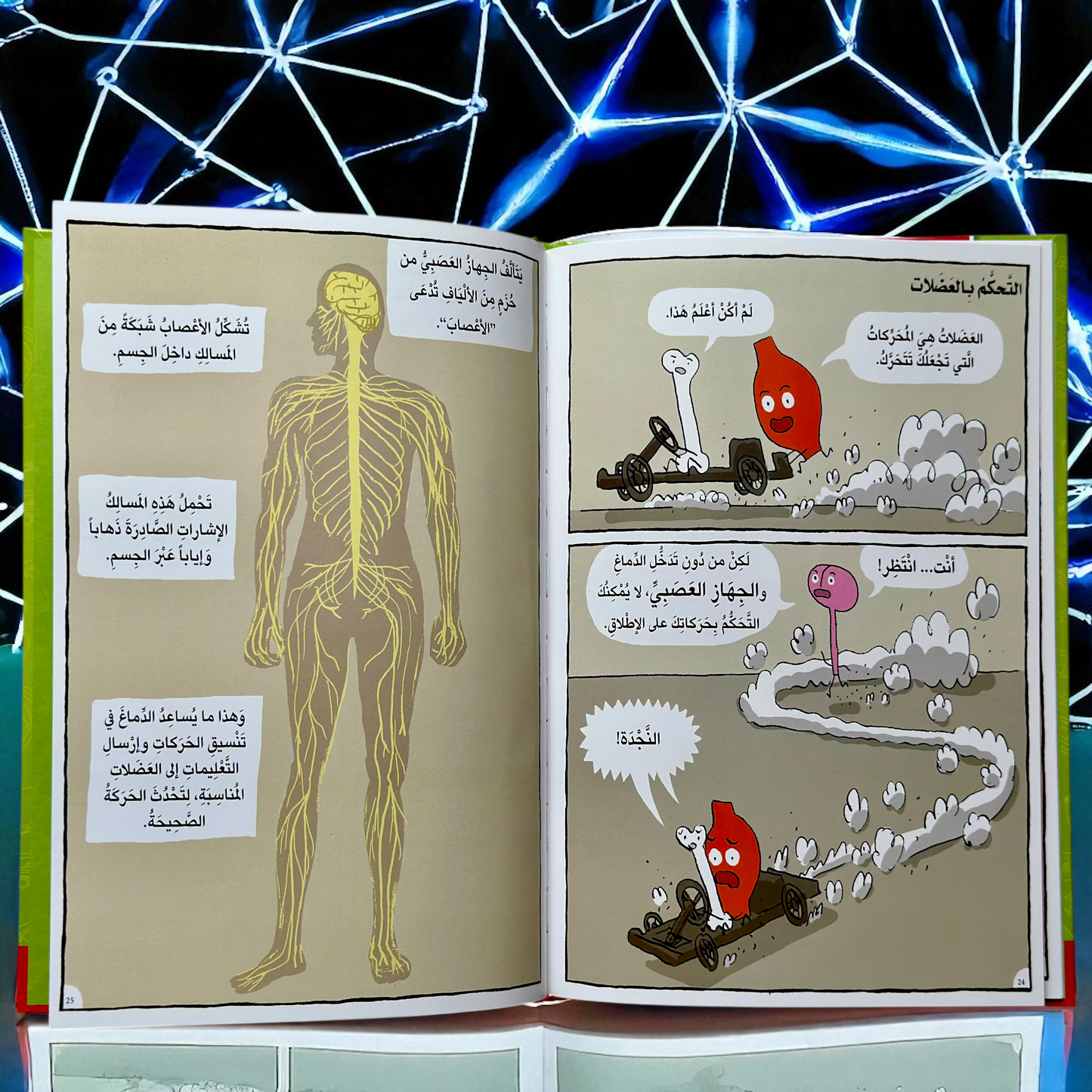 عرض الثلاث مجموعات التعليمية الأولى للأطفال ( العلوم - الأحياء - الرياضيات )