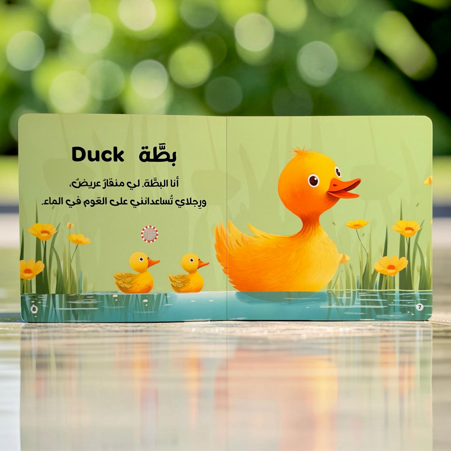 سلسلة أصوات الحيوانات - الأليفة-المزرعة-الغابة-الماء