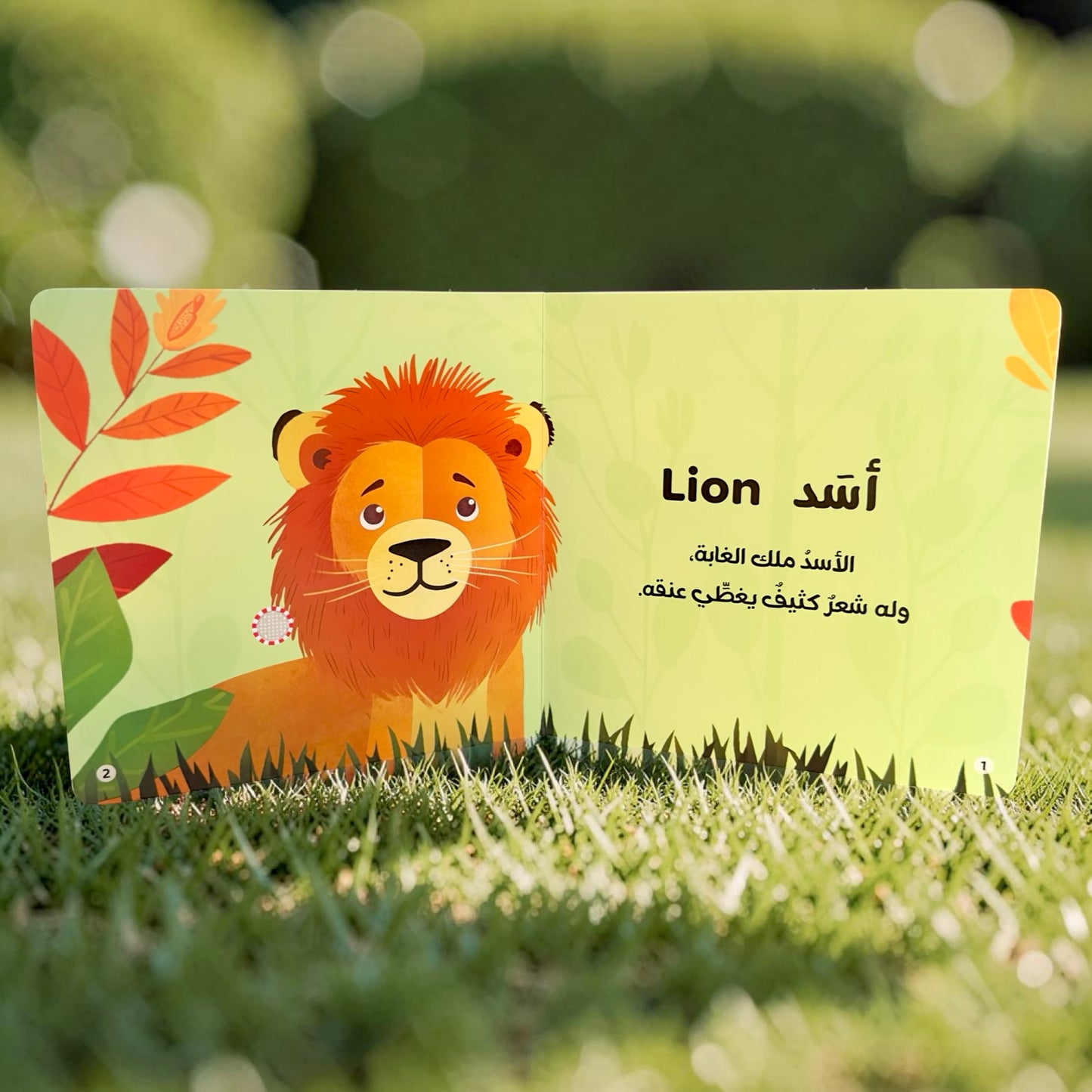 المجموعة الأكبر للقصص الصوتية الإسلامية والتعليمية 12 كتاباً