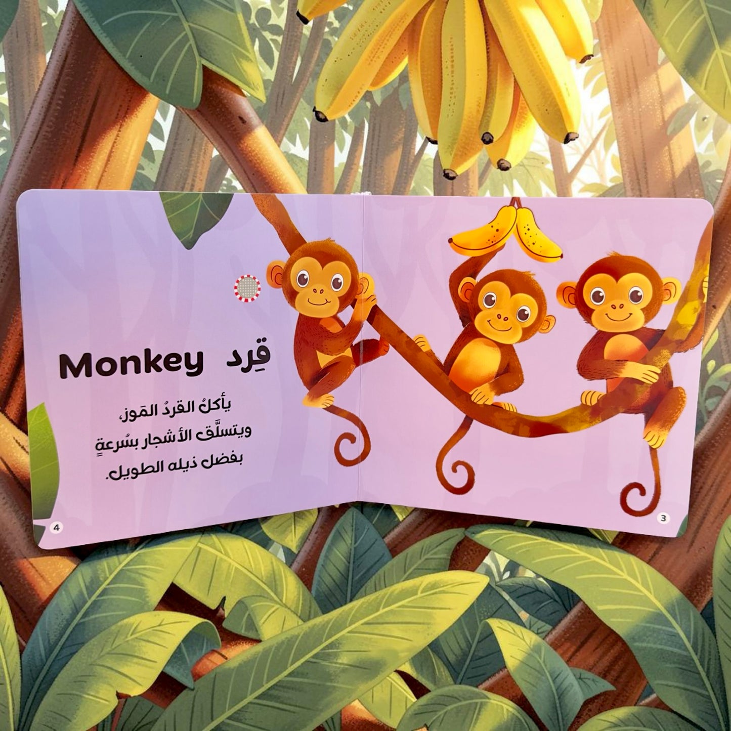 المجموعة الأكبر للقصص الصوتية الإسلامية والتعليمية 12 كتاباً
